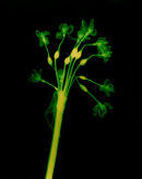 A Different Nature 10
