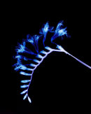 A Different Nature 05