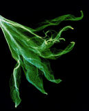 A Different Nature 14