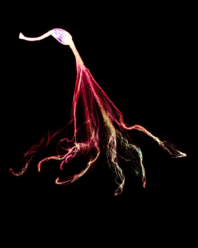 A Different Nature 09
