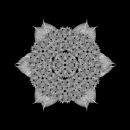 Meditation on a Spring Garden 01