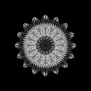 Meditation on a Spring Garden 02