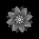 Meditation on a Spring Garden 03
