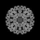Meditation on a Spring Garden 12